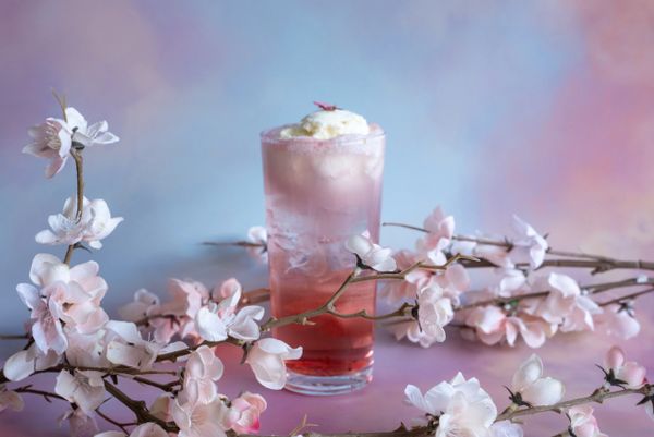 Cherry Blossom Festival